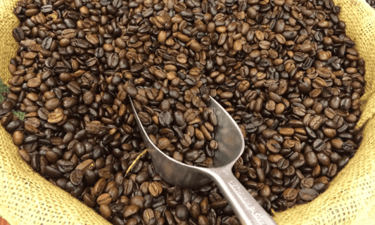 Arabica Beans